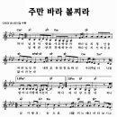 주만 바라볼찌라 이미지