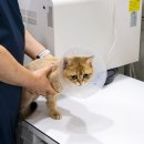 웅상동물병원 이미지