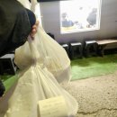 화진포 민박 | [고성 백반기행] 녹원식당 &amp; 저녁 맛집 식사 포장 꿀 팁