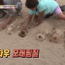 동물농장 이미지