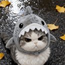 시골뚝배기 이미지