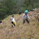 강림면303 이미지