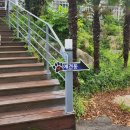 쏠베르펜션 | 거제도 애견동반 펜션 : 쏠베르펜션 야외수영장, 핀란드 사우나 후기