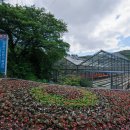 진해기술지원과(진해농업기술센터) 이미지