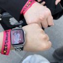 다사까 | 2025 세종 보헤미안 뮤직 페스티벌 후기