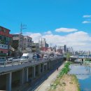 올리브한의원 이미지