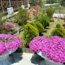 패밀리펜션 이미지