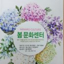 초등 창의수학지도자 이미지