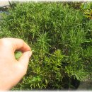 69삼겹살 이미지