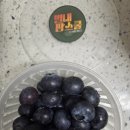 윤재농장 이미지