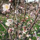 법화사입구 이미지