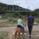 양동농장 | [경북 경주] 경주 양동마을