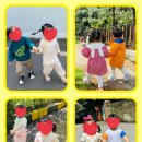 양지1어린이집 이미지