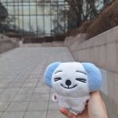묭데이 | {공연 후기} 2026 림스키코르사코프 세헤라자데 - 서울