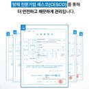 초당옥수수 백화점용 햇 국산 생옥수수 달콤한 간식 간편 조리 후기