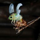 7년만의외출 이미지