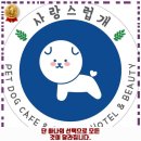 늘 사랑스럽개 이미지