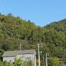 광양중마초등학교 이미지