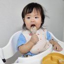 2024 네이버 블로그 챌린지 포토 덤프 4주 차 얼렁뚱땅 서귀포 맛집