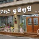 로하스 동물병원 이미지