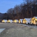 둥지애견 | [의왕캠핌장]서울 근교 야외바베큐장 끝판왕 오매기744 애견동반 캠크닉 후기