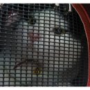 솔펫 동물병원 이미지