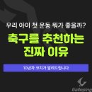 창선생활체육공원(천연잔디) 축구장 | 우리 아이 첫 운동 뭐가 좋을까? 축구를 추천하는 진짜 이유