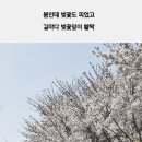 가디스네일