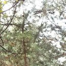 오동근린공원 이미지