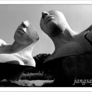 시각공간-위상 이미지