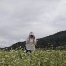 가가닭강정