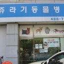 천호동물병원 이미지