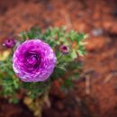 상식농장 이미지