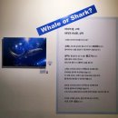 신세계네셔널지오그래픽 | 대구신세계백화점 내셔널지오그래픽 특별전(생명의 기록) 후기 무료관람