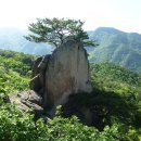 잔다리산악회 2015년 송년 작은 동산(東山)산행 안내 이미지