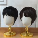 디자인엠&씨크릿인모가발