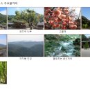 북부코스남부코스 이미지