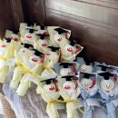 송중태권도 이미지