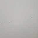 미라클 워터 이미지