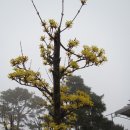 남한강변길 이미지