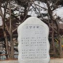 힐링얼음