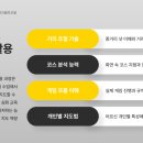 파크골프 입문 이미지