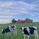 성원축산 이미지