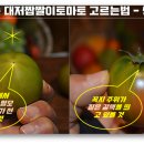 싱싱초록청과