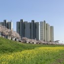신기강변로 네이버블로그