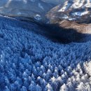 서산서부산악회 제427차 함백산 눈꽃 송년산행(2024.12.01) 이미지