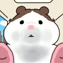 콩볶는야옹이