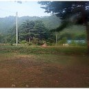 내평계곡민박 | 강원도 삼척 내평계곡 캠핑후기