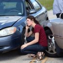 경보한의원 이미지