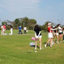 에스골프연습장 이미지